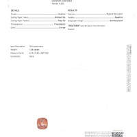 Jewelry Scan Report
