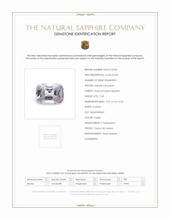 Jewelry Scan Report