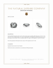 Jewelry Appraisal