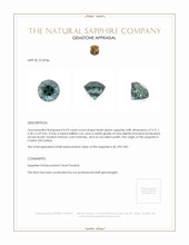 0.93 Ct. Bluish Green Sapphire from Ceylon (Sri Lanka) Appraisal