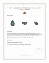 Jewelry Appraisal