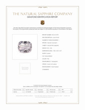 Jewelry Scan Report
