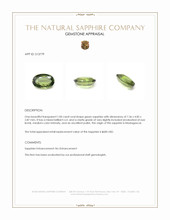 Jewelry Appraisal