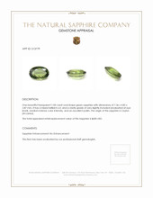 Jewelry Appraisal