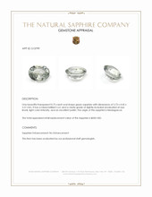 Jewelry Appraisal