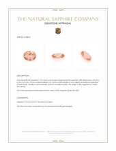 Jewelry Appraisal