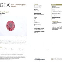Jewelry Scan Report