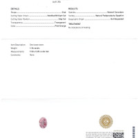 Jewelry Scan Report
