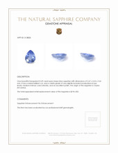 0.49 Ct. Blue Sapphire from Ceylon (Sri Lanka) Appraisal