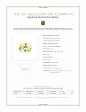 Jewelry Scan Report