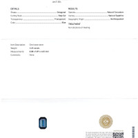 Jewelry Scan Report