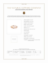Jewelry Scan Report