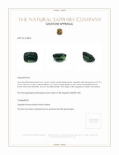 4.01 Ct. Bluish Green Sapphire from Ceylon (Sri Lanka) Appraisal