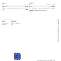 Jewelry Scan Report