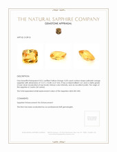 8.20 Ct. Sapphire from Ceylon (Sri Lanka) Appraisal