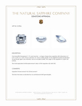 Jewelry Appraisal