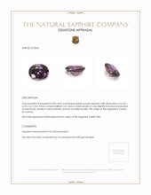 0.98 Ct. Sapphire from Ceylon (Sri Lanka) Appraisal