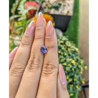 1.58 Ct. Violet Sapphire from Ceylon (Sri Lanka) Life Style