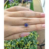 1.58 Ct. Violet Sapphire from Ceylon (Sri Lanka) Life Style