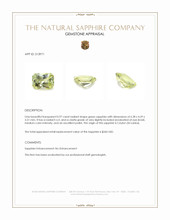 0.97 Ct. Green Sapphire from Ceylon (Sri Lanka) Appraisal
