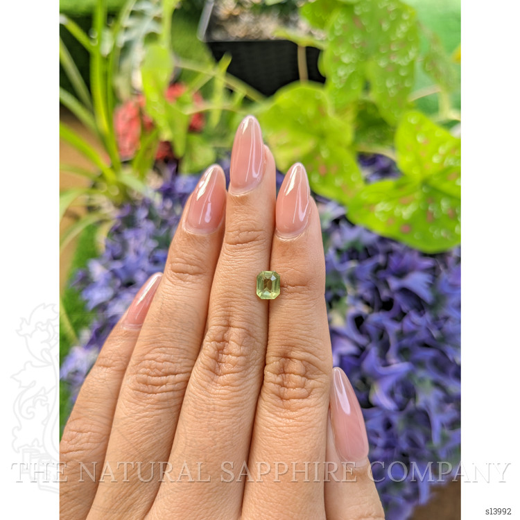 1.23 Ct. Yellowish Green Sapphire from Madagascar