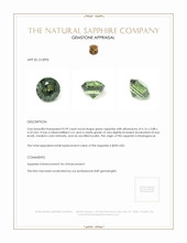 0.99 Ct. Sapphire from Madagascar Appraisal