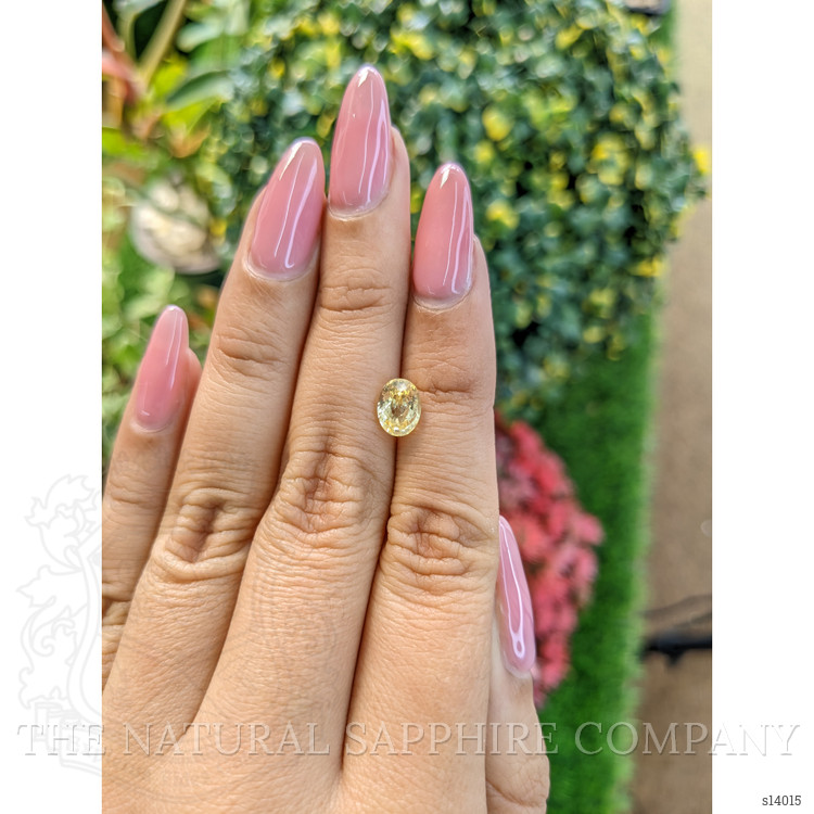 1.65 Ct. Yellow Sapphire from Ceylon (Sri Lanka)