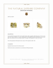 0.89 Ct. Yellow Sapphire from Ceylon (Sri Lanka) Appraisal
