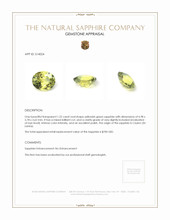 1.22 Ct. Yellowish Green Sapphire from Ceylon (Sri Lanka) Appraisal