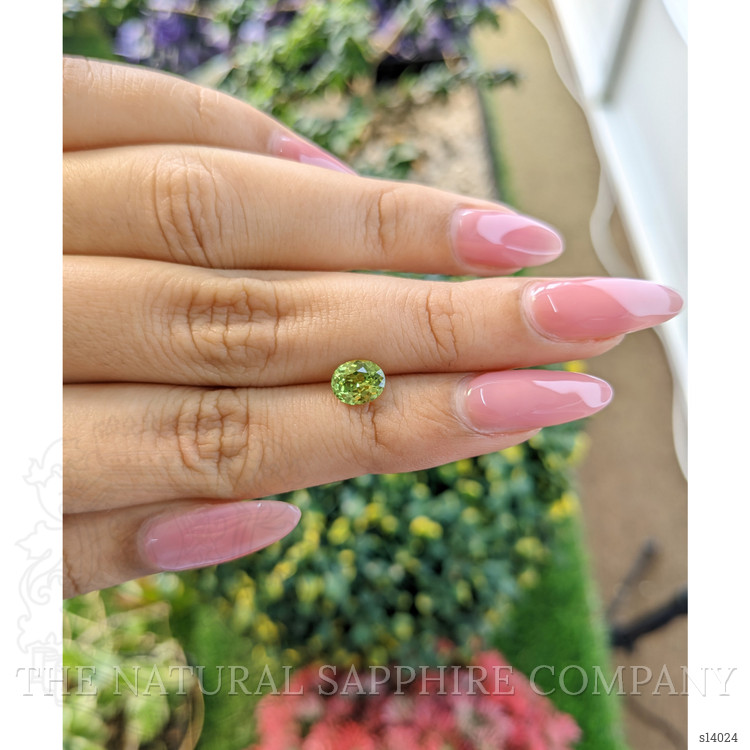 1.22 Ct. Yellowish Green Sapphire from Ceylon (Sri Lanka)