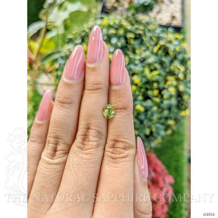 1.22 Ct. Yellowish Green Sapphire from Ceylon (Sri Lanka)