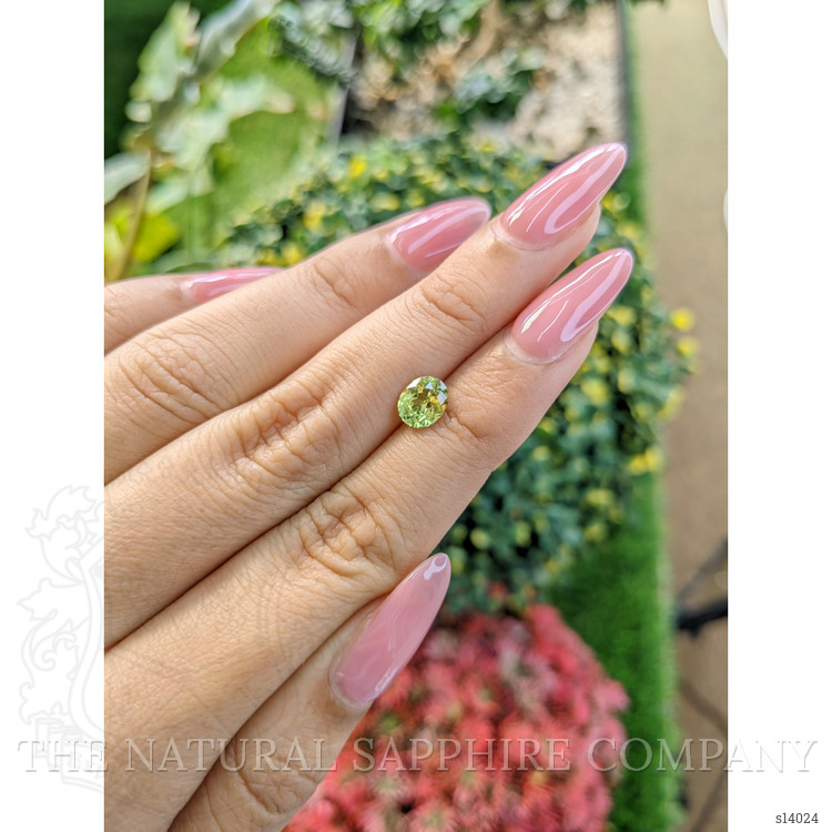 1.22 Ct. Yellowish Green Sapphire from Ceylon (Sri Lanka)