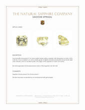 Jewelry Appraisal