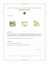 Jewelry Appraisal