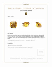 1.20 Ct. Yellowish Orange Sapphire from Ceylon (Sri Lanka) Appraisal
