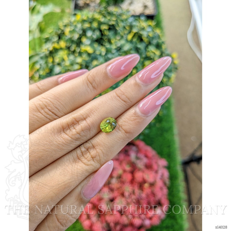 2.06 Ct. Yellowish Green Sapphire from Ceylon (Sri Lanka)