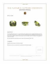 1.13 Ct. Yellowish Green Sapphire from Ceylon (Sri Lanka) Appraisal