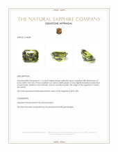 1.13 Ct. Yellowish Green Sapphire from Ceylon (Sri Lanka) Appraisal