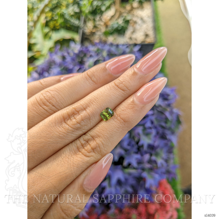 1.13 Ct. Yellowish Green Sapphire from Ceylon (Sri Lanka)