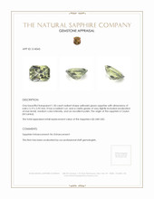 1.30 Ct. Yellowish Green Sapphire from Ceylon (Sri Lanka) Appraisal