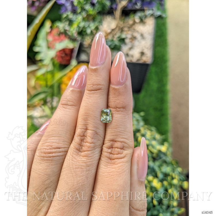 1.30 Ct. Yellowish Green Sapphire from Ceylon (Sri Lanka)