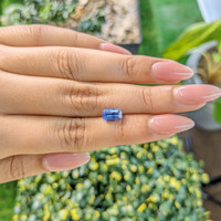2.19 Ct. Bi Color Sapphire from Ceylon (Sri Lanka) Life Style