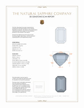 Jewelry 3 D Scan Report