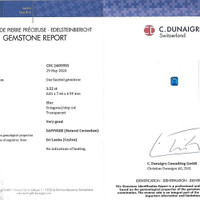 Jewelry Scan Report