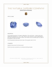 9.28 Ct. Blue Sapphire from Ceylon (Sri Lanka) Appraisal