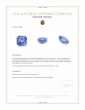9.28 Ct. Blue Sapphire from Ceylon (Sri Lanka) Appraisal