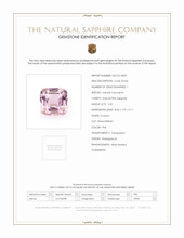 Jewelry Scan Report