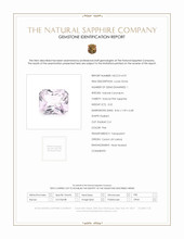 Jewelry Scan Report