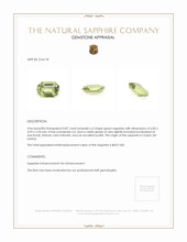 0.87 Ct. Green Sapphire from Ceylon (Sri Lanka) Appraisal