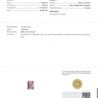 Jewelry Scan Report